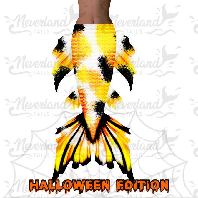 Halloween Edition 3 | Kandy Koi