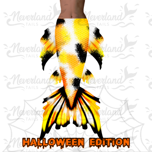 Halloween Edition 3 | Kandy Koi